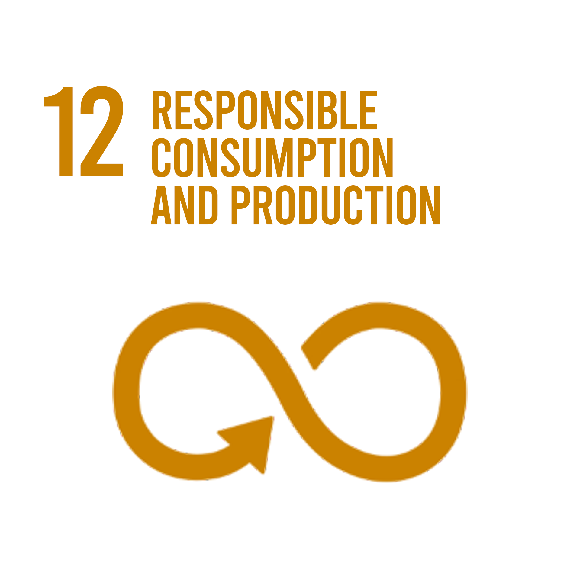 SDG 12: Responsible Consumption and Production