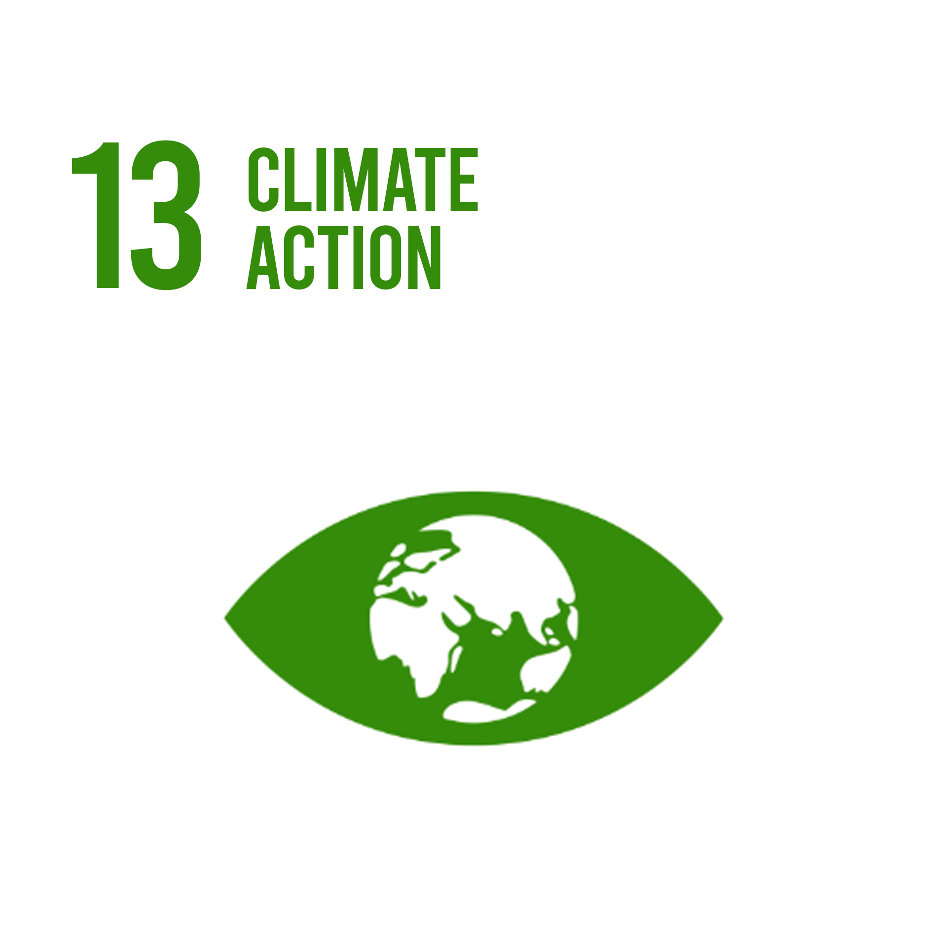 SDG 13: Climate Action