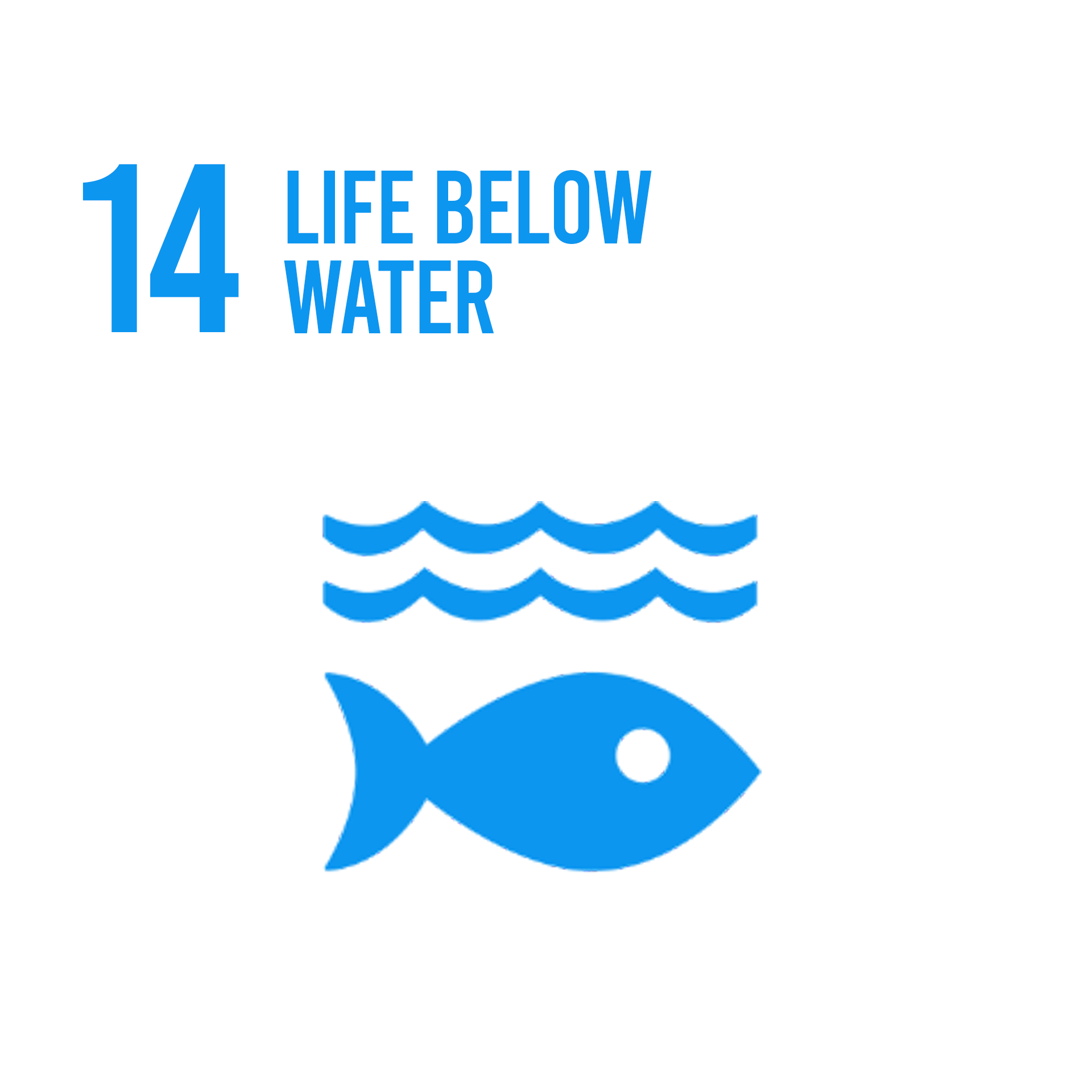 SDG 14: Life below Water