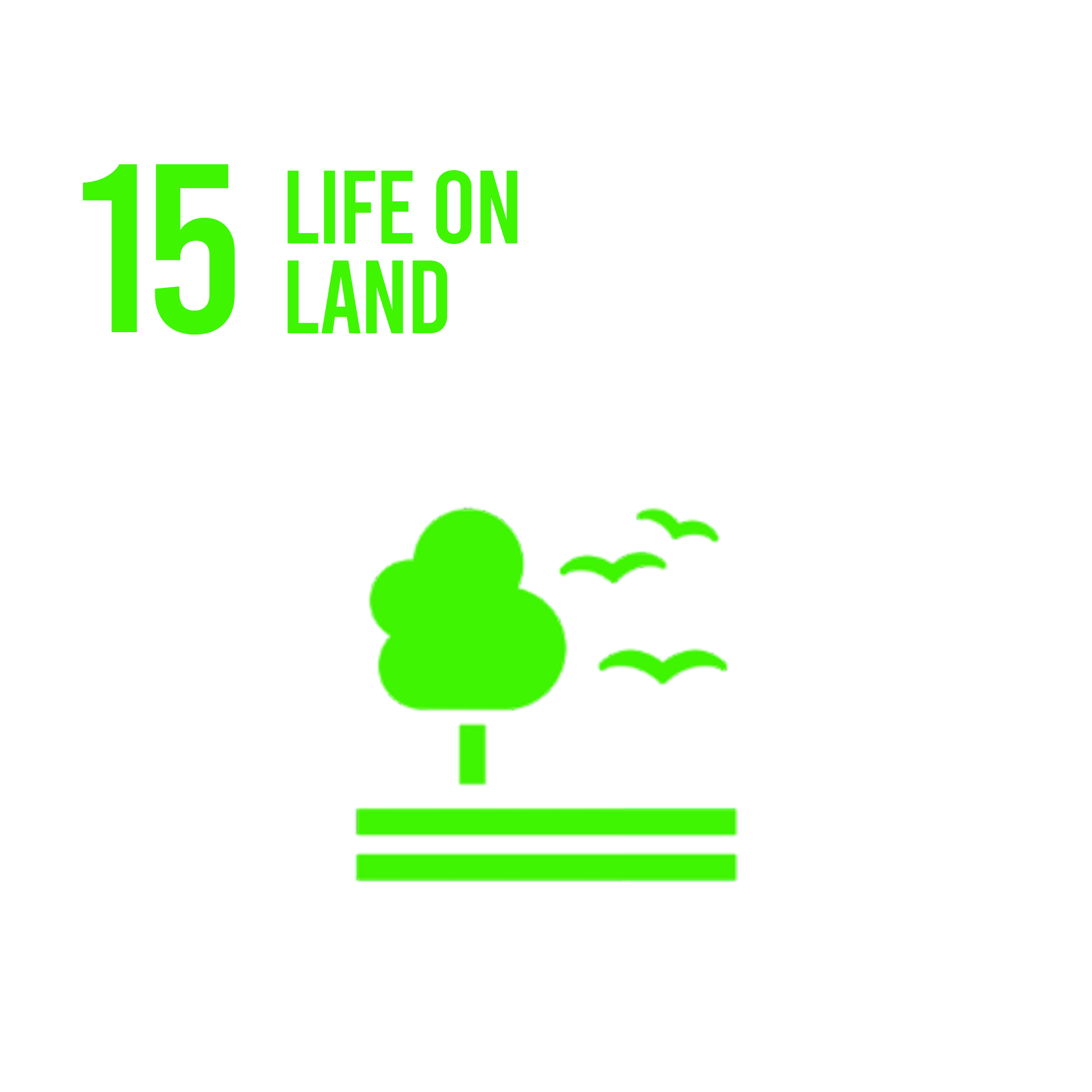 SDG 15: Life on Land