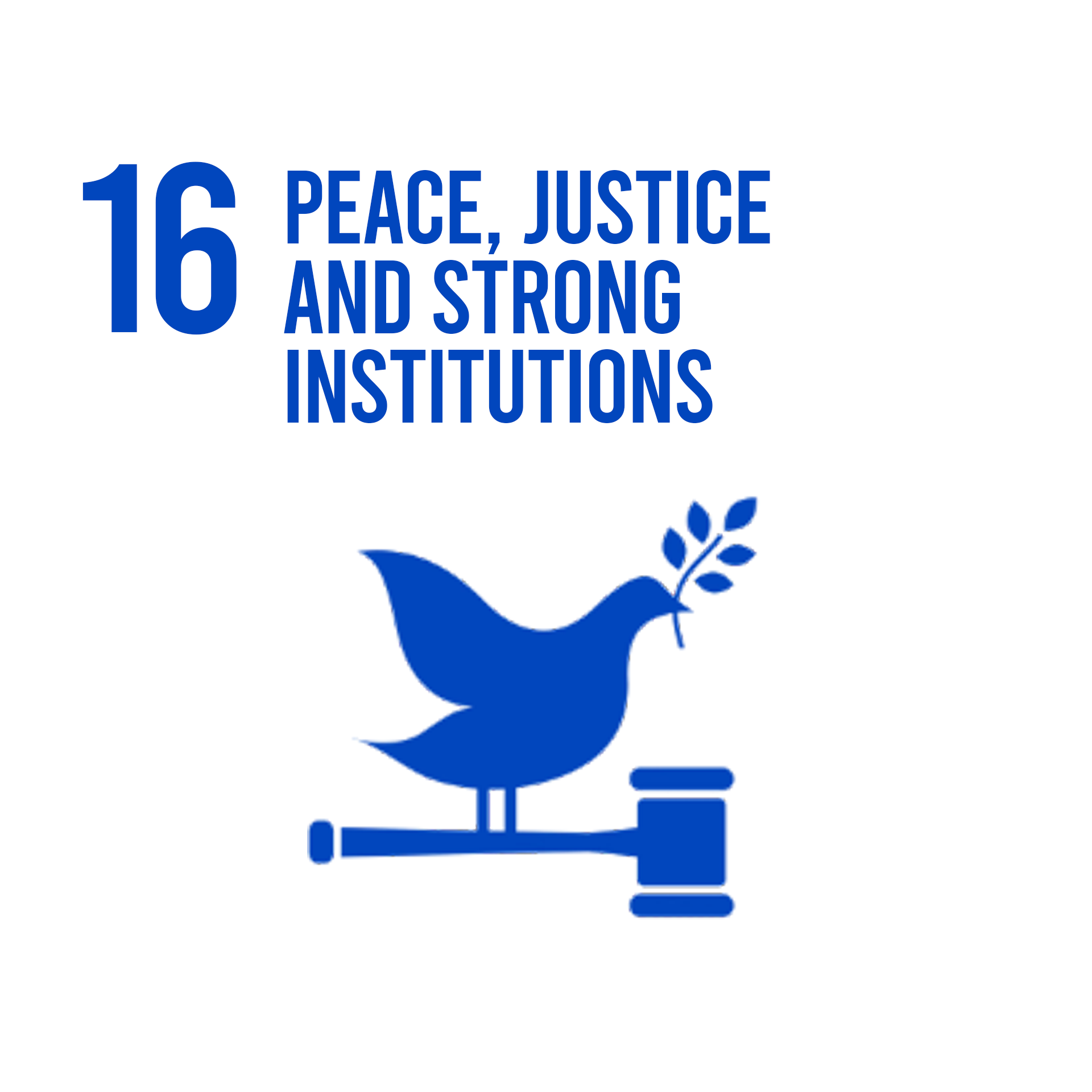 SDG 16: Peace, Justice and Strong Institutions